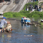 Public participation vital in conserving environment