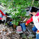 DOLE Senate assures better TUPAD validation, monitoring