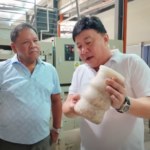 Silang mushrooms gain prominence after PBBM nod